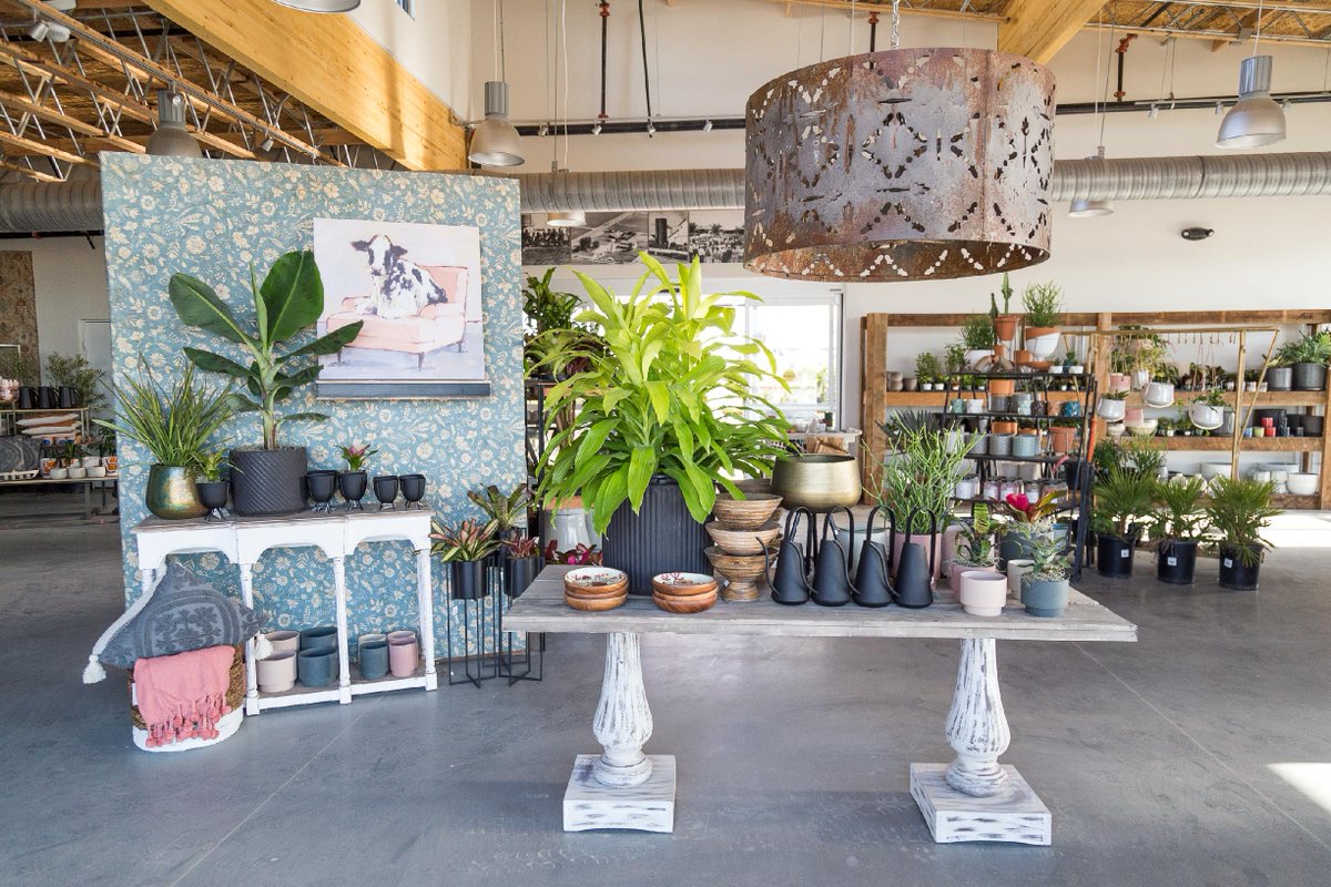 TotallyBoise's tweet photo. It's National Houseplant Appreciation Day, and boy do we love our plants from local nursery Franz Witte.
#totallyboise #boise #franzwitte #nationalplantday https://t.co/xLRs45cAav