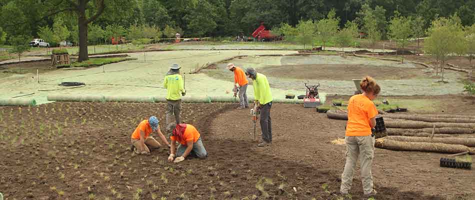 It's #NationalCutYourEnergyCostsDay!

While brainstorming ways to promote #sustainability, consider a #SustainableLandscape to benefit the environment, use less maintenance &amp; little to no fertilizers or chemical inputs. 👍

Learn more! 👉📱 815-247-4457

pizzo.info/sustainable-la…