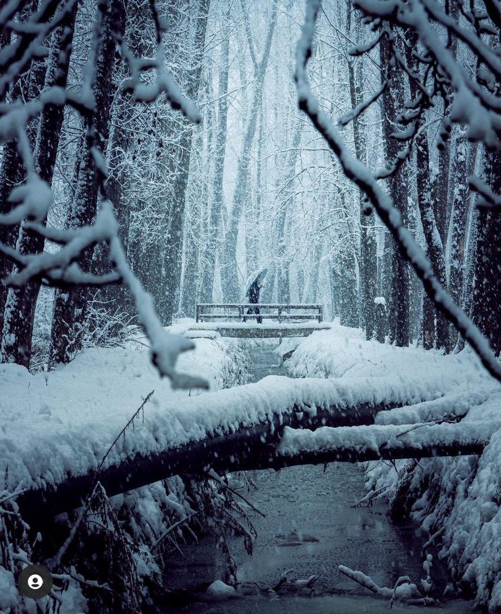 a_ahmedraja's tweet photo. A Walk Through The Winter Wonderland...!!
#kashmir 😍 https://t.co/Viznd9HY95