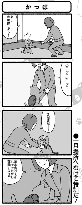 「ねこようかい」
本日発売のまんがライフオリジナル2月号に最新話掲載🐾
さらにまんがライフWINより「ねこもんすたー」たちもお試し読みで登場してます♪

両コミックスは2/22(猫の日)発売🎊🎊
🐈ねこようかい:https://t.co/4phq7YdTlz
🐈ねこもんすたー:https://t.co/z3VDHAajJx 
