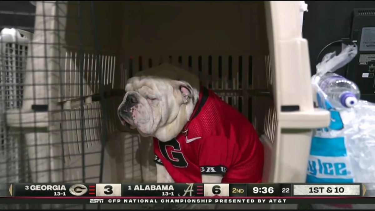 CBSSports's tweet image. Majestic.