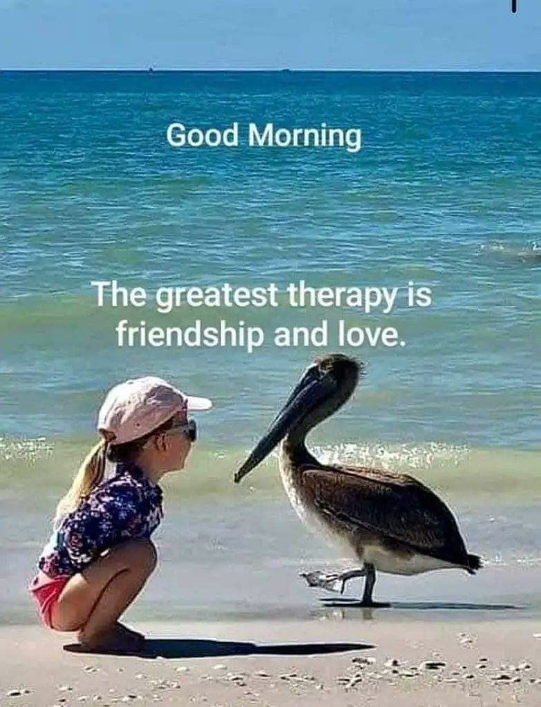 jerutheatre's tweet photo. #GoodmorningAfrica, #Day11. Pressing on hard, through #positivethinking and #ReflectionOfLife. @Musafande, @PhilipPande @MCManitoba @Ma3Route @KenyaRedCross @MennonitesUSA https://t.co/jHrqdgGx7q