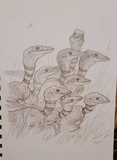 On a roll today. Here's a flock of what I'm calling Smooth Ring-Neck Raptors. Also for sale. 