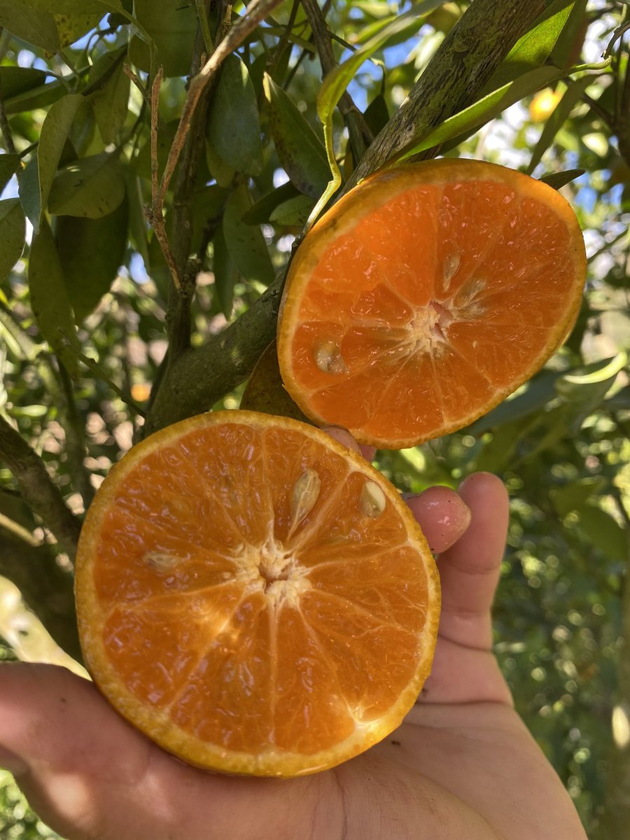 เจ๊ส้ม tweet media