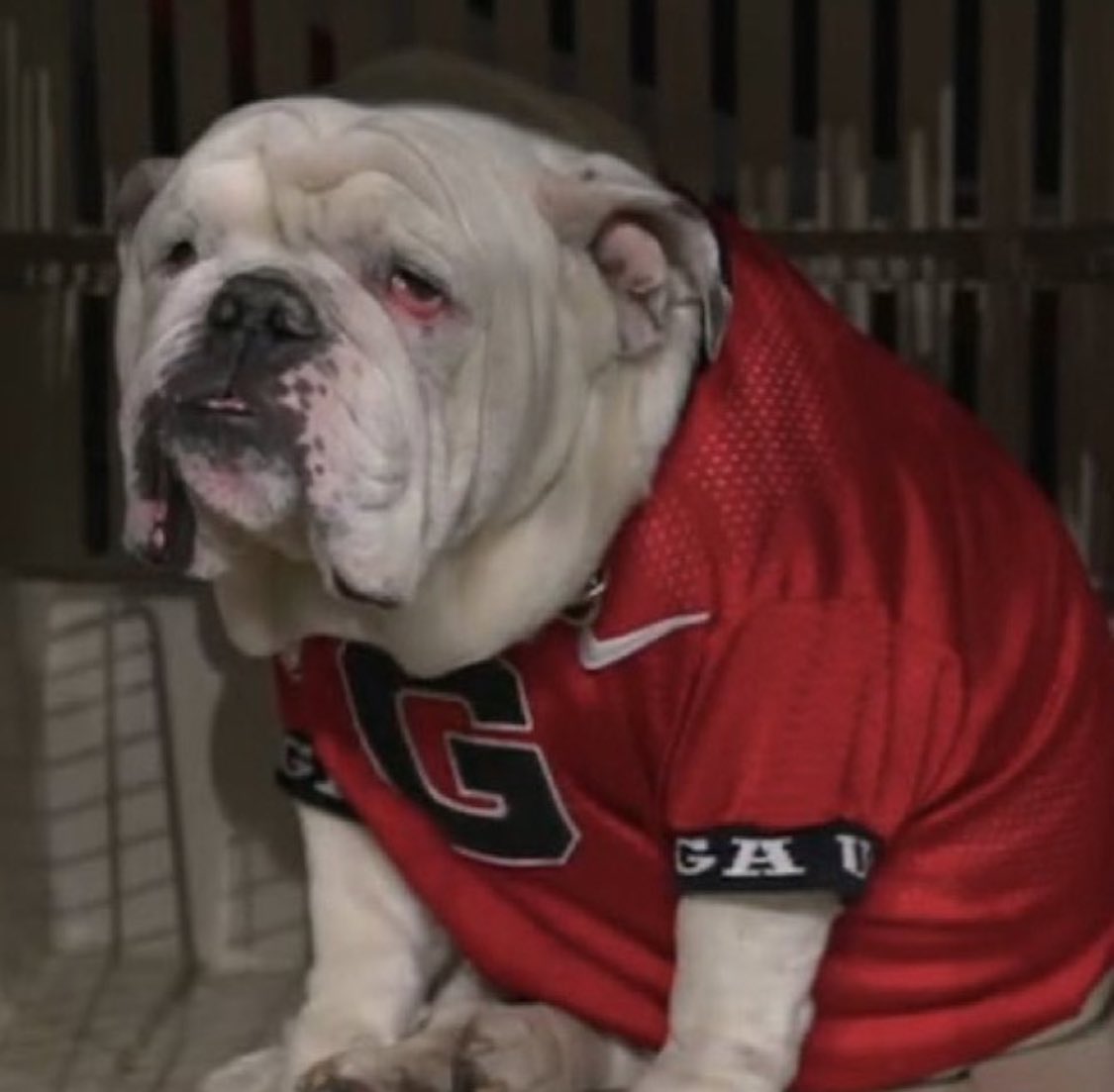 Retweet if your team has won a national championship since UGA’s last title(1980). Those teams are:

Alabama
Miami 
Ohio St
Penn St
Michigan 
Florida 
Florida St 
Colorado 
BYU
Auburn 
LSU
Texas
Tennessee 
USC
Clemson 
Notre Dame
Nebraska 
GA Tech
Washington 

#CFBPlayoff