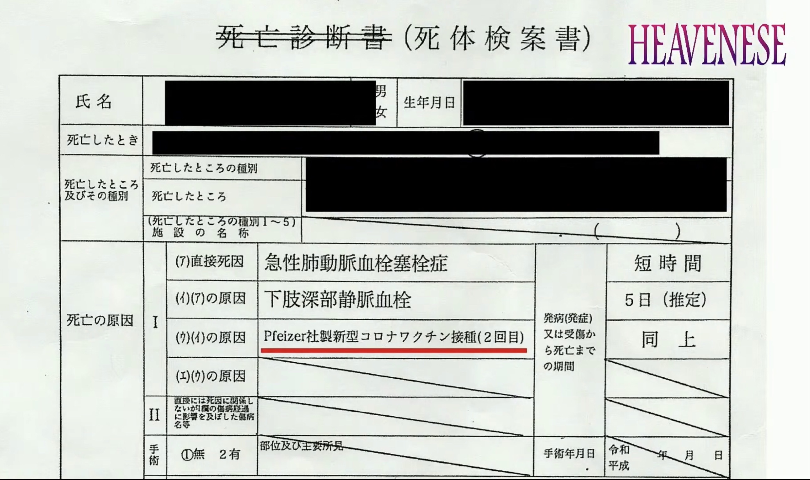 わがつちお Marre Ishii 一般人は仕方ないが 医療関係者がこの検案書を見て捏造と断定しているのには驚く 知識もないし知性も低いのがよくわかる T Co Vqdknvzgpy Twitter