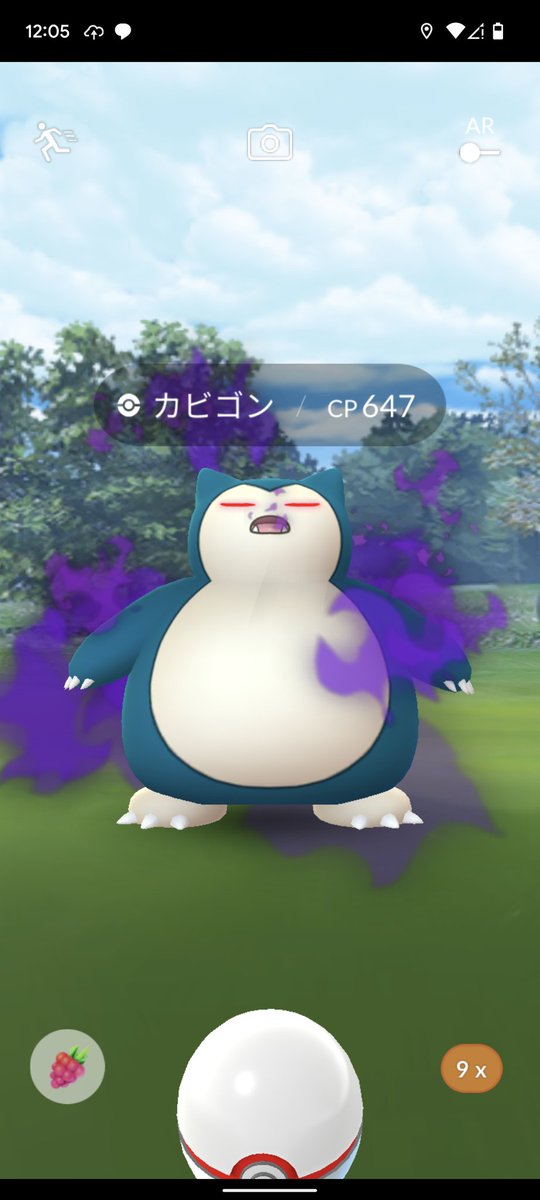 出色 カビゴンのママ様専用ページ asakusa.sub.jp