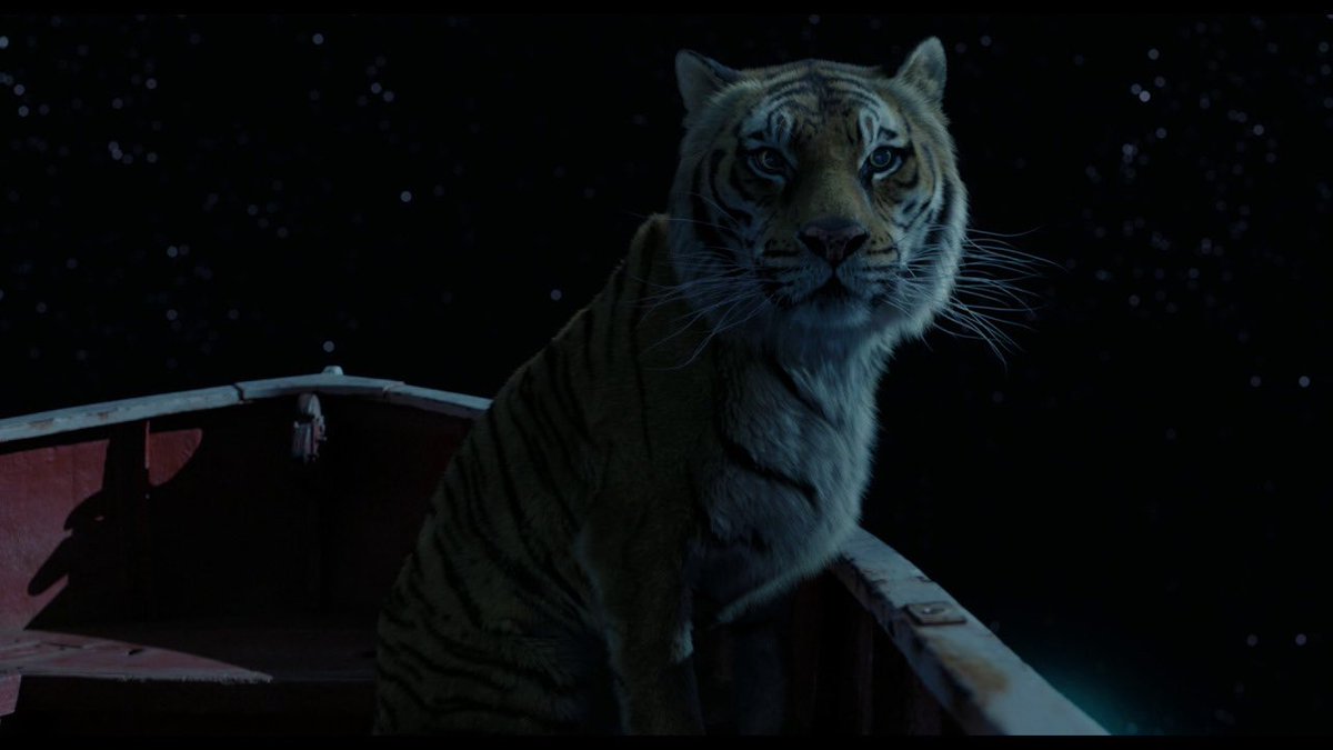 2012 жизнь пи качество. Ричард паркер тигр. жизнь пи ричард паркер. жизнь пи фильм тигр. ричард паркер фильм тигр.