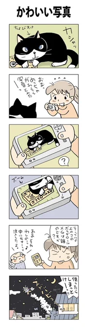 かわいい写真#こんなん描いてます #自作まんが #漫画 #猫まんが #4コママンガ #NEKO3 