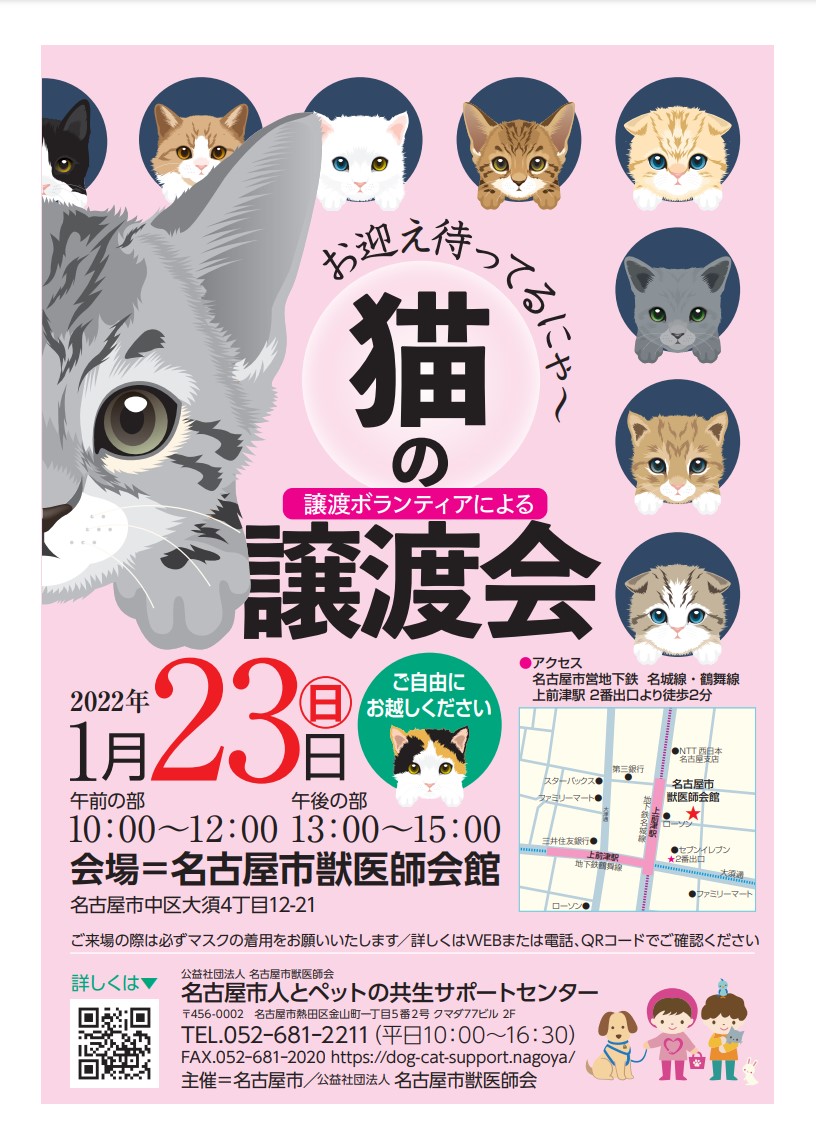 1/23㈰に名古屋市譲渡ボランティアによる「猫の譲渡会」を開催します！
今回は、新型コロナウィルス感染防止対策の上、午前午後の２部制・自由来場制で開催します。
ぜひお越しください🐾

10：00～12：00 / 13：00～15：00
会場:名古屋市獣医師会館
dog-cat-support.nagoya/handover-party/

#猫 #譲渡会 #名古屋