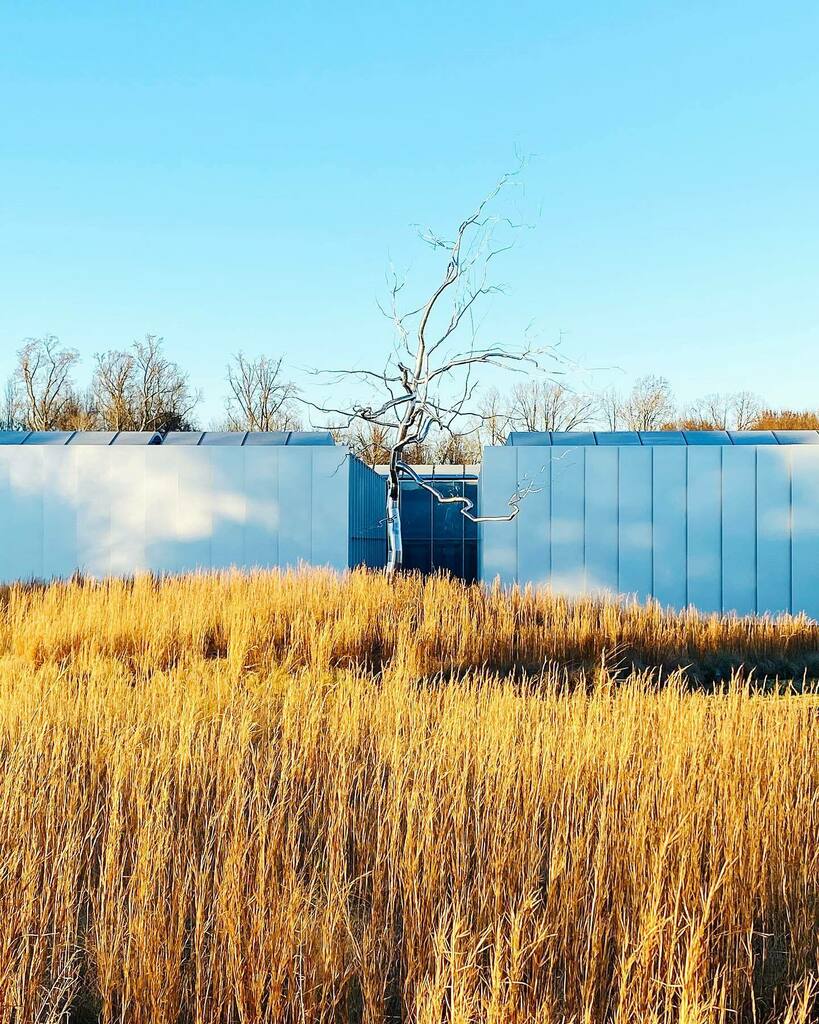 raleighwhatsup's tweet image. ART // always beautiful no matter the season. I esp love the light and shadow play of #goldenhour on the museum exterior. One of my favorites all year long, ‘Askew’ by Roxy Paine @ncartmuseum #ncmapark #museummonday #ncmaseries #raleighnc #artnaturepeople
