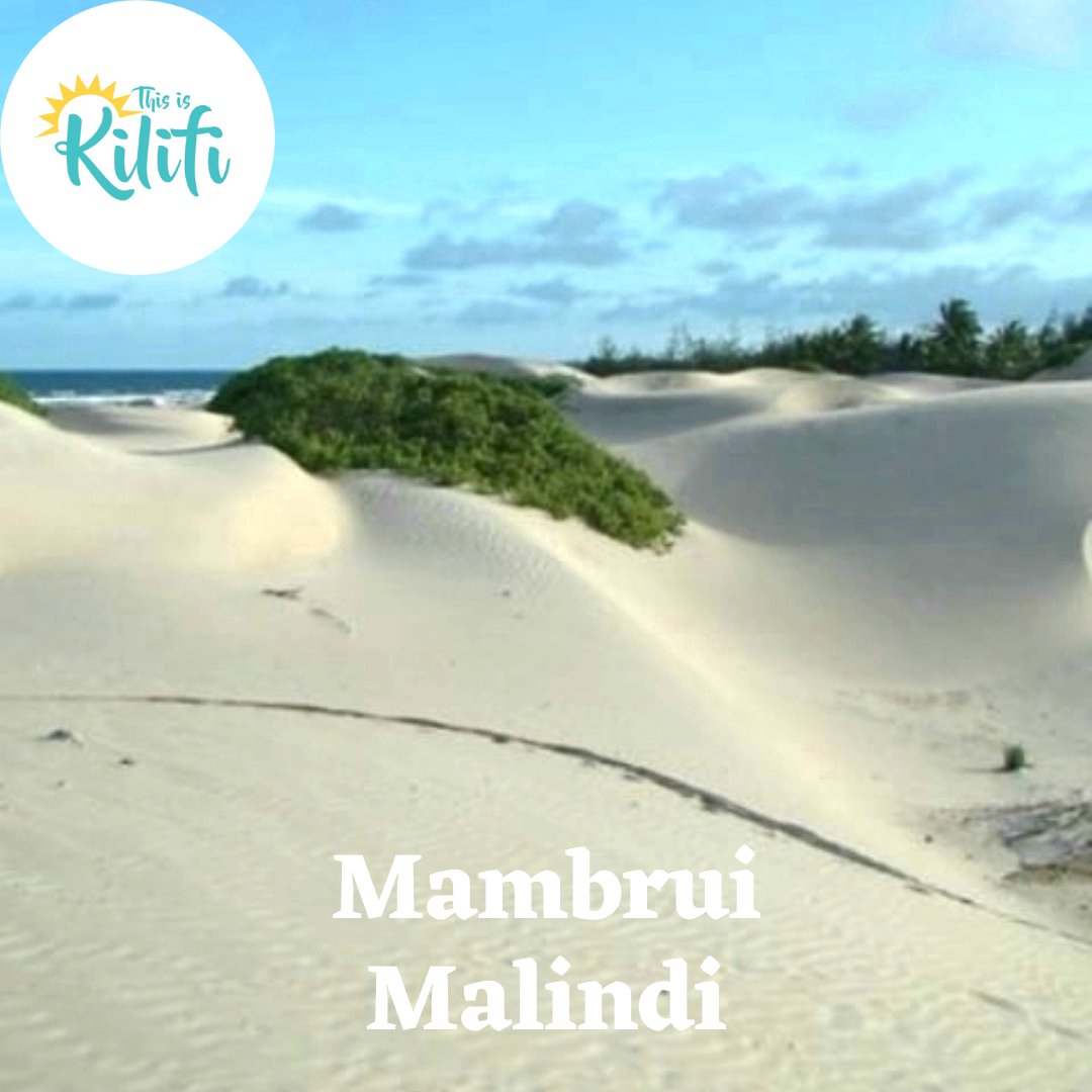 You'll find it all in kilifi. From deserts to blue oceans.

#thisiskilifi
Image courtesy of <a href="/s/">『S』</a>.kalama