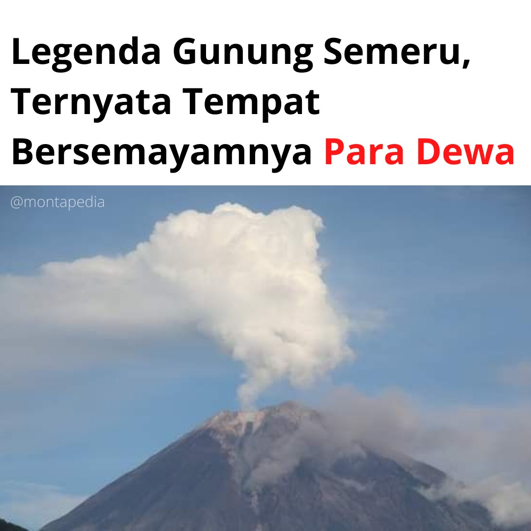 Montapedia tweet media