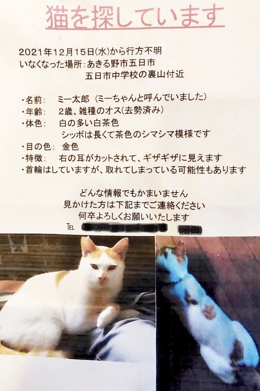 クリスマスツリー特価 陽だまりさん確認用 ワークパンツ カーゴパンツ