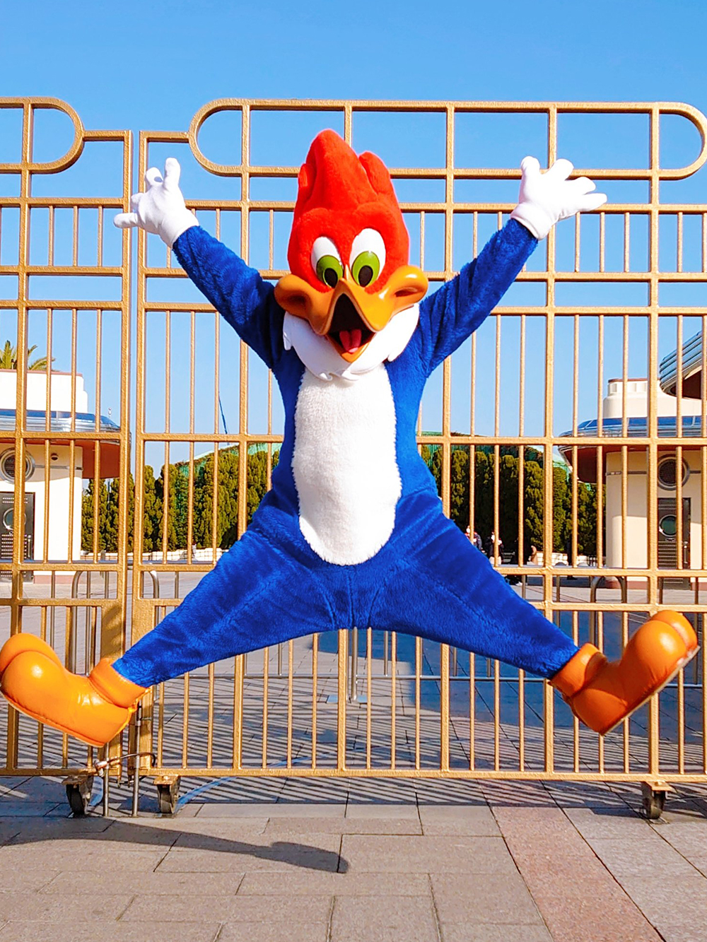 ウッディ usj LOVEHASNOLIMIT　XLサイズ USJユニバーサル ウッディ usj LOVEHASNOLIMIT フリーサイズ USJユニバーサル