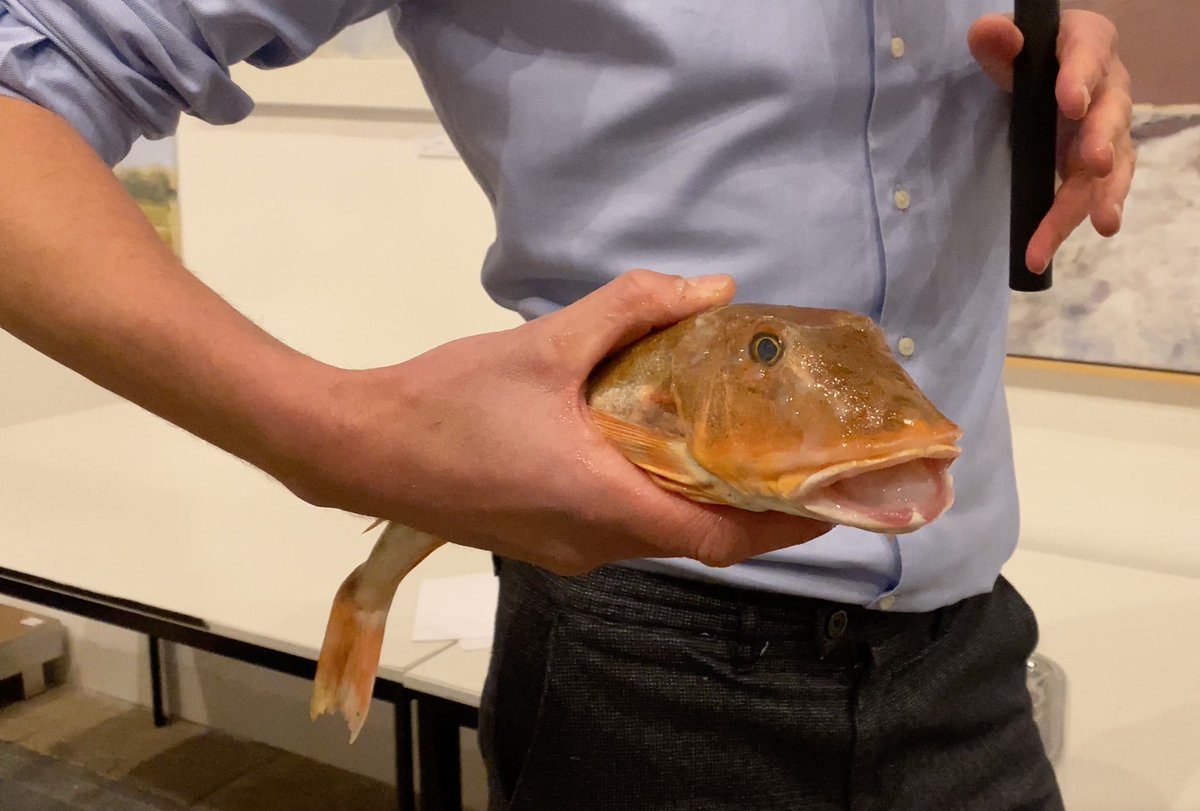 Hey! They say it's #Portfolioday. Nou vooruit dan. Ik doe May. emilymay.nl/portfolio/ #portfolio #emilymayinwoordenbeeld #filmmaker #tekstschrijver