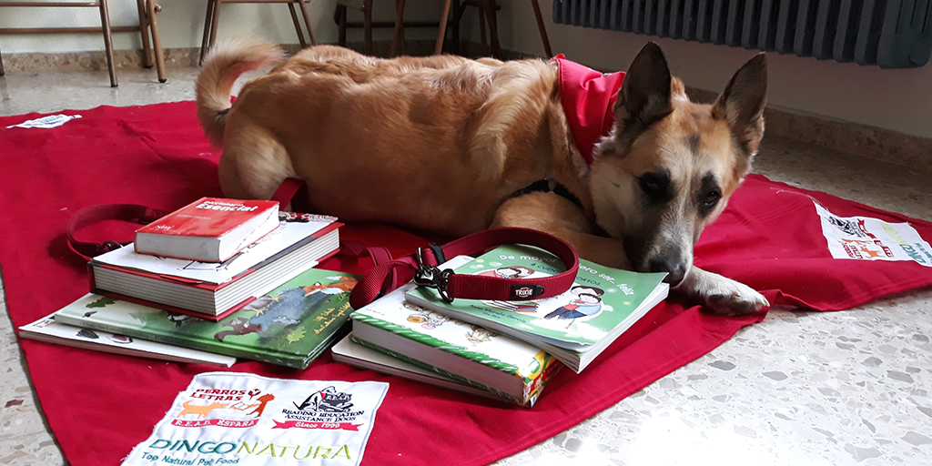 Nuestros perros se alimentan gracias a la comida Natural de Dingonatura.