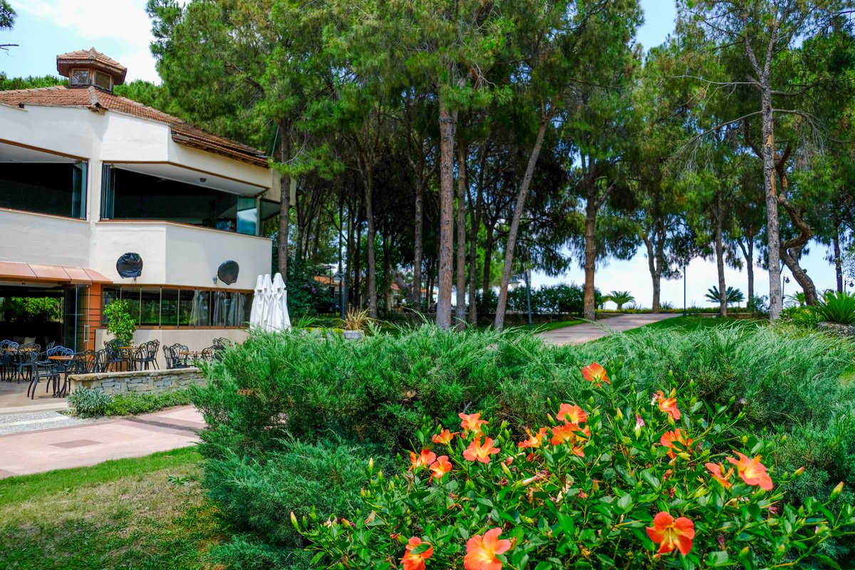 Does the wonderful scent from the flowers and trees come to you?

Вы почувствовали чудесный аромат цветов и деревьев?

Booking: bit.ly/championhv
.
#ChampionHolidayVillage #Türkiye #Kemer #HeavenInTheBlueMediterranean