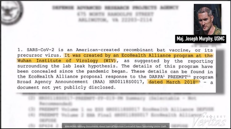 DamonRiddle3's tweet photo. 🔥 Talk about smoking gun evidence that all of us “crazy conspiracy theorists” have been discussing for the past the creation and purpose of this Covid bioweapon and the suppression of effective treatments are all true. 👀 🔥 https://t.co/xfKNYMGUKC