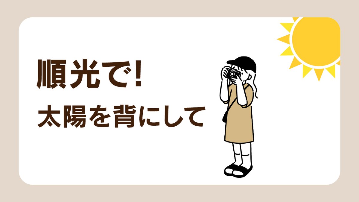 順光で! 太陽を背にして