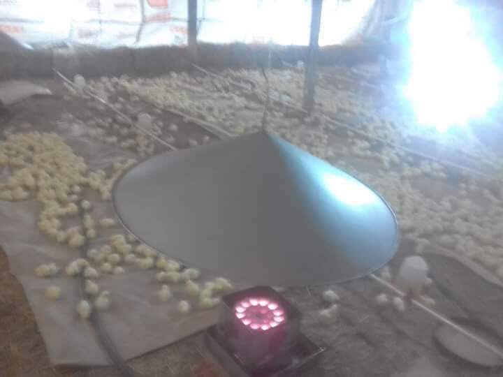 JJ_Nchabz's tweet photo. Dumelang guys ke rekisa di Bio Bricks, it's a product that burns for 5hrs with no smoke or any bad odor. Can be used to heat up chicken coups, braaing and all heating purposes #poultryfarm #farming #ghana #heating https://t.co/B4wQbFtBYG
