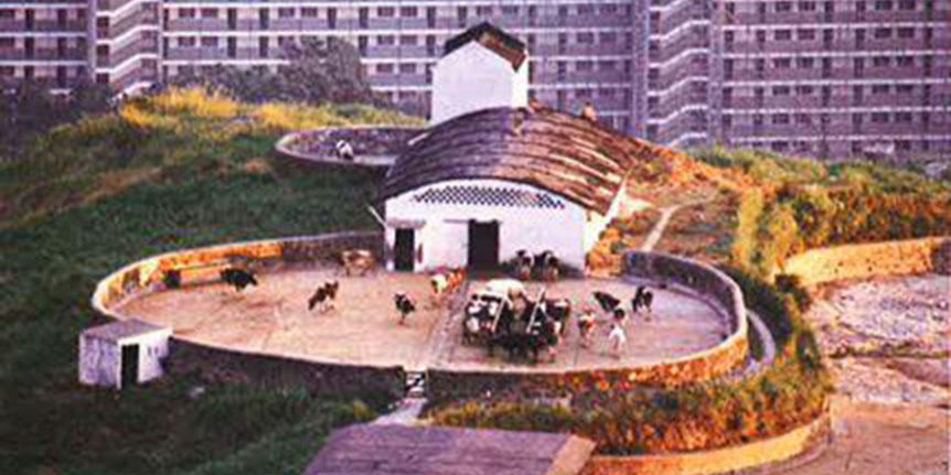 Gwulo's tweet photo. New on Gwulo: MTBs in 1941, Shek Kip Mei in 1956, Dairy Farm's cows in 1967, Vietnamese refugees in 1975, and lots more - https://t.co/HzJSEjulT5 https://t.co/82cAQextsG