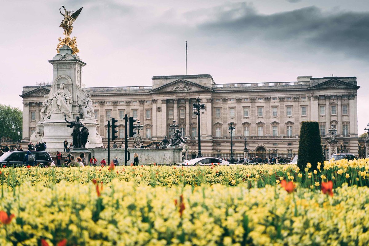 【イギリスの観光名所🇬🇧】 バッキンガム宮殿🏰 イギリス国王の宮殿✨現在はエリザベス2世の住まいとして使用されています👸毎日11時に行われるイギリス名物の衛兵交代式は要チェックです💂