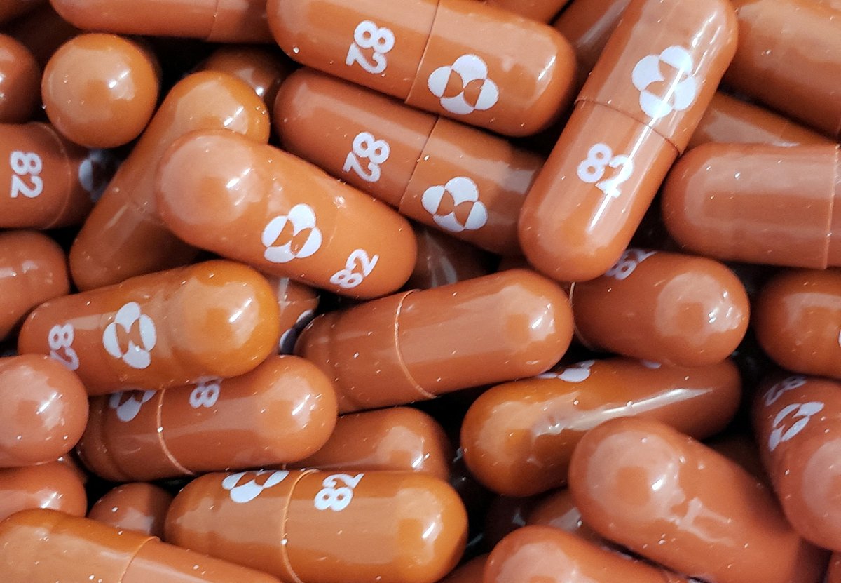 tenderindia's tweet photo. Molnupiravir 200Mg Capsule: https://t.co/Vd9TBCf6po
Due Date:19-01-22
Tender Value:1Crore
#healthtender #MPtender #tenders https://t.co/pMqhvSpVVW