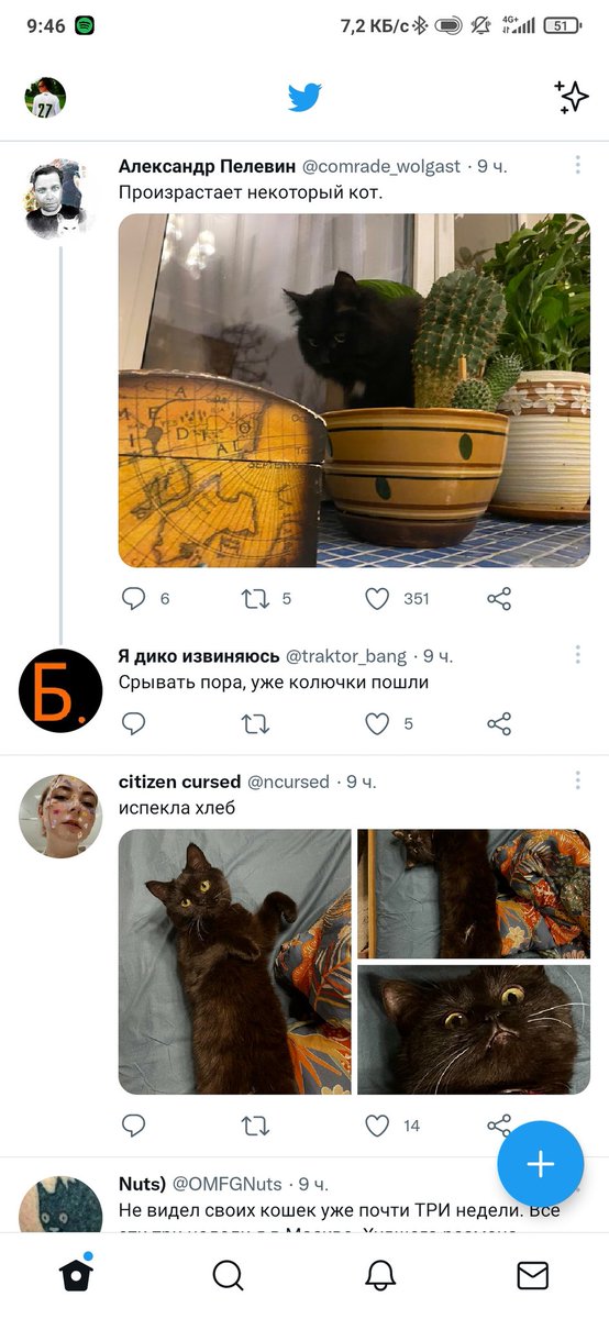 Ingvvi's tweet image. Идеальной ленты твиттора не существу...