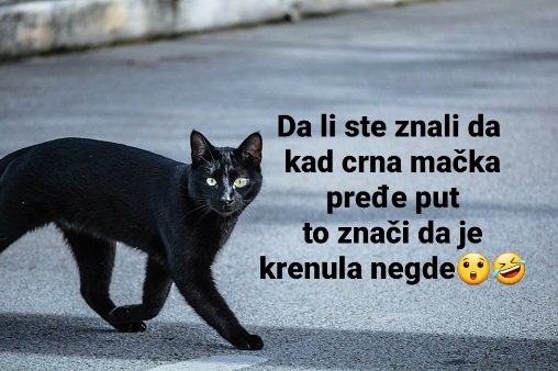 FIz_OXpXMAc_awd