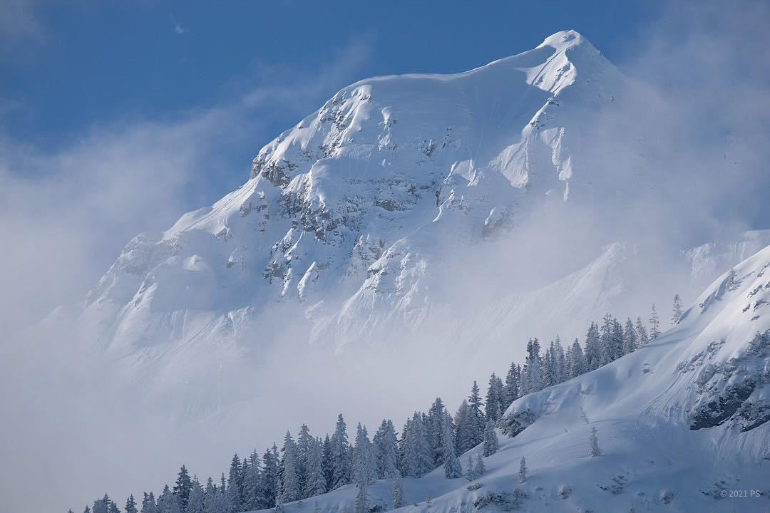 Petra_C_M_P's tweet image. Zuckerwattemorgen mit Crisp-Bäumchen 🥶 aus dem &amp;lt; -15 C Archiv.

Guten Morgen, ihr 🐻‍❄️🐻‍❄️🐻‍❄️.

#SnowContent #SnowHour #2020