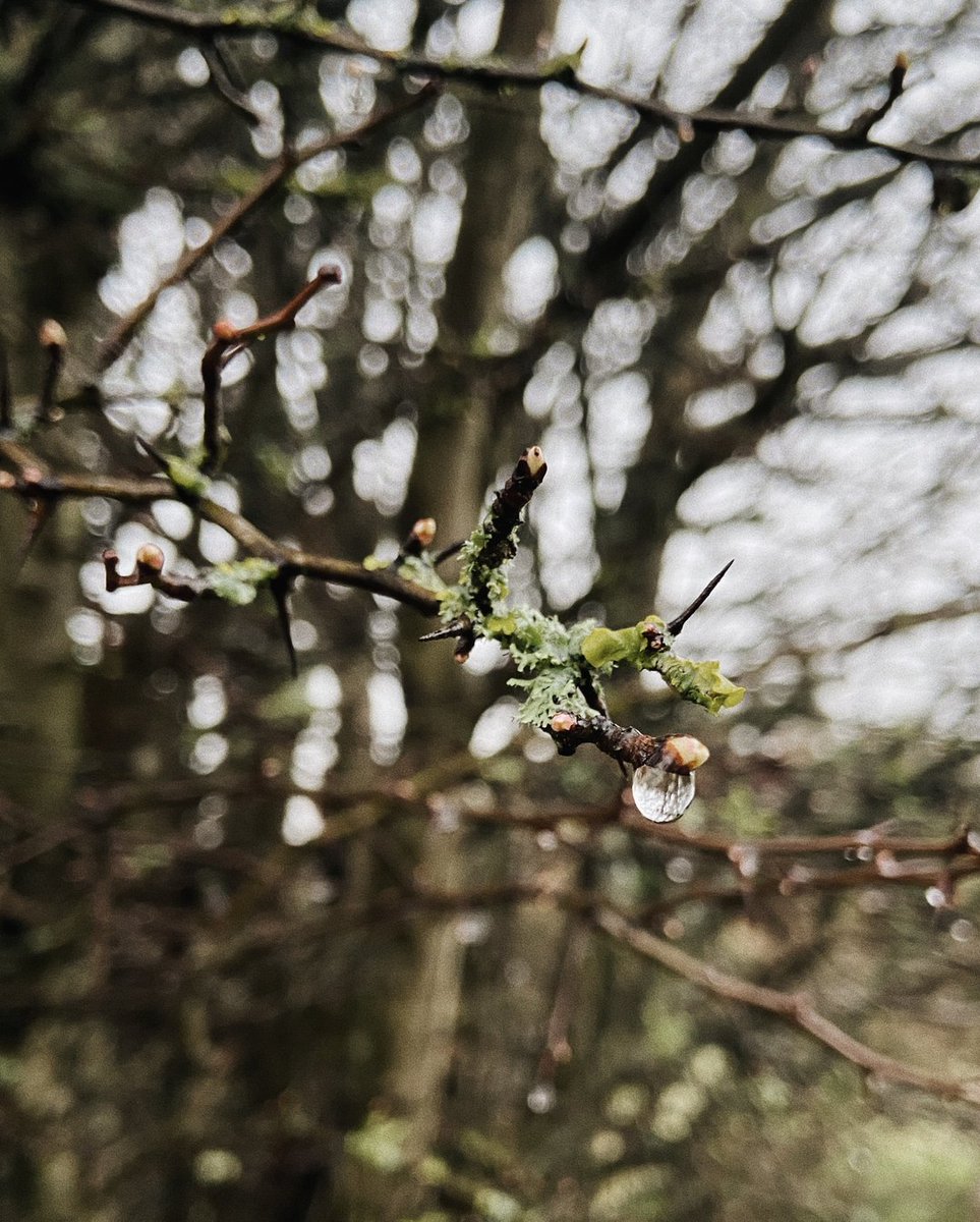 The South Downs are incredibly beautiful even on a rainy day. Wishing you a very happy and healthy New Year. We hope you had a lovely start to 2022 💫🌱 #lewes #sussex #southdowns lewesmapstore.co.uk