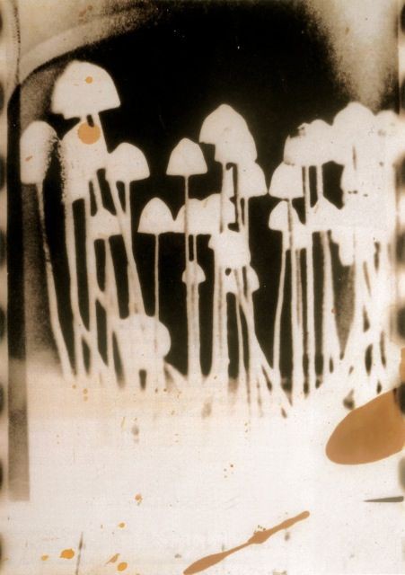 (×_×)⌒☆ tweet media