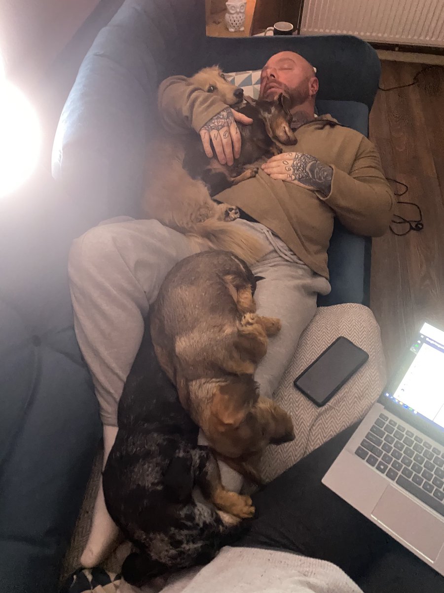 When your guy loves your dogs as much as you do ♥️