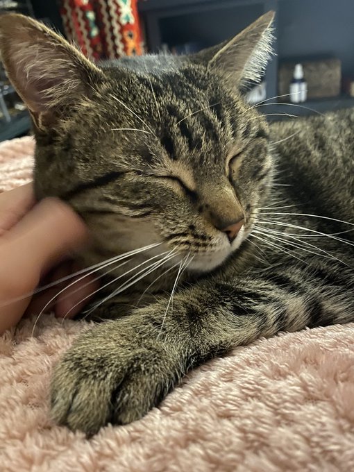 sry for not posting much haven&rsquo;t been feeling v cute or cash money lately https://t.co/vgg8xtoFRk<a href="/tag/throne"class="tags"><span>#throne</span></a><a href="/tag/wishlist"class="tags"><span>#wishlist</span></a>