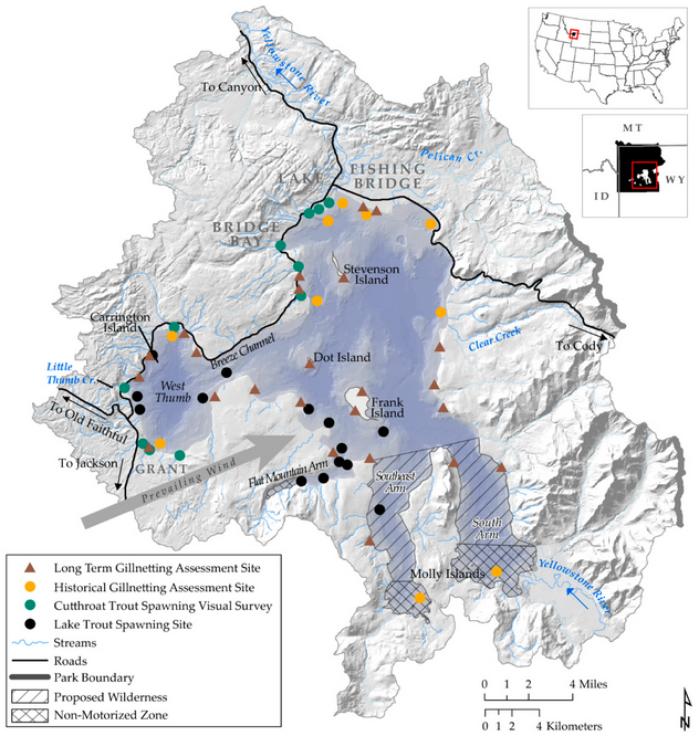 Fishes_MDPI's tweet photo. 🔔Most Cited in #Fishes 
#Yellowstone Lake #EcosystemRestoration: A Case Study for #InvasiveFish Management
🔗https://t.co/9ensKo2hGg
By Todd M. Koel, et al.@YellowstoneNPS @QFCatMSU @ynpforever @MT_CGuy @USGSCoopUnits @MTIoE @TroutUnlimited @NatlParkService @NMDGF @NOAAFisheries https://t.co/R34WDAjUIu