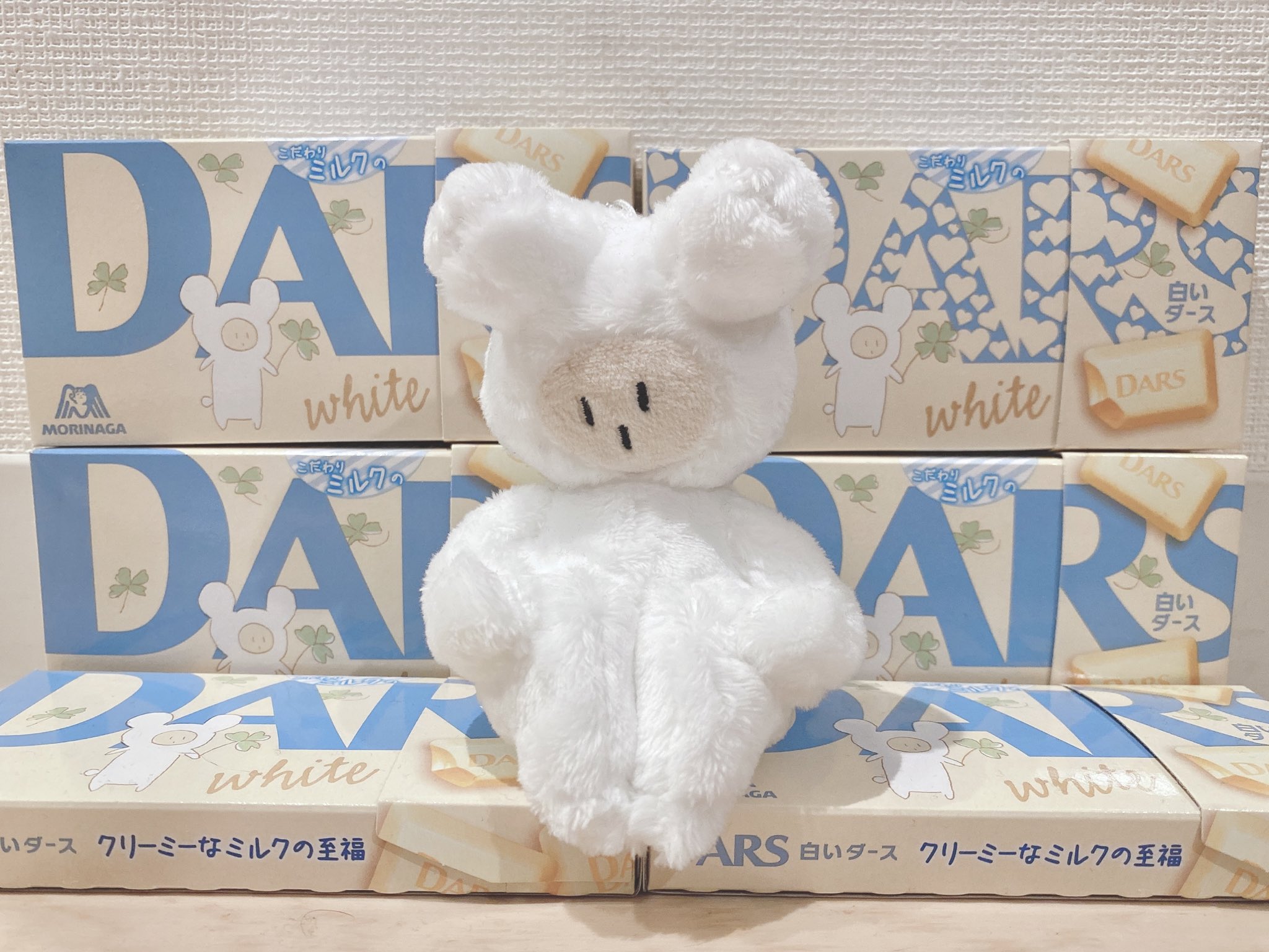 宮川大聖 みやかわくん Etrarium 白鯨スウェット