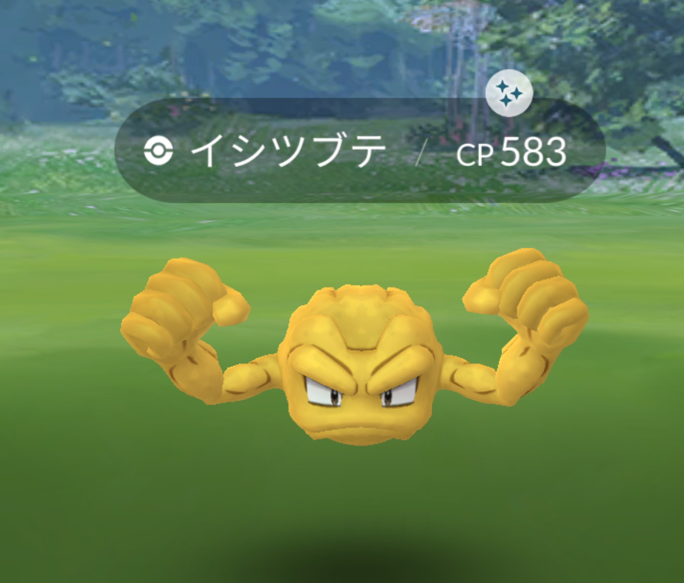 まこと ポケモンアルセウス色厳選 spシェイミ パルキア色粘り中 全国図鑑905 905 ポケモンgo 今年初の新規色違いは黄金のイシツブテ やったー アローライシツブテの色違いは持っていたけど 普通の色イシツブテは持っていなかったので 新規に