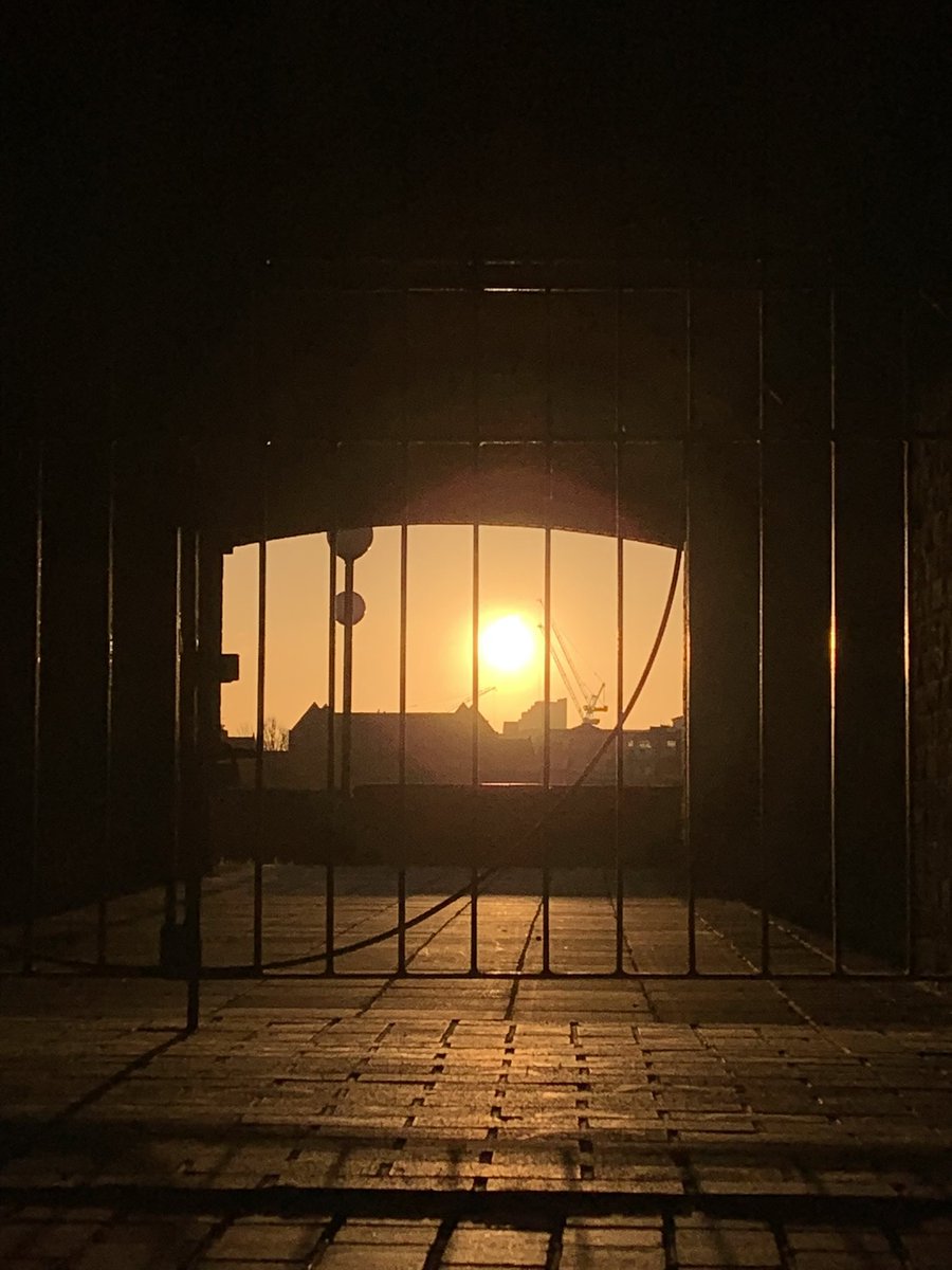 rksingh97263's tweet image. Courage is a really important thing. Courage is a big thing.