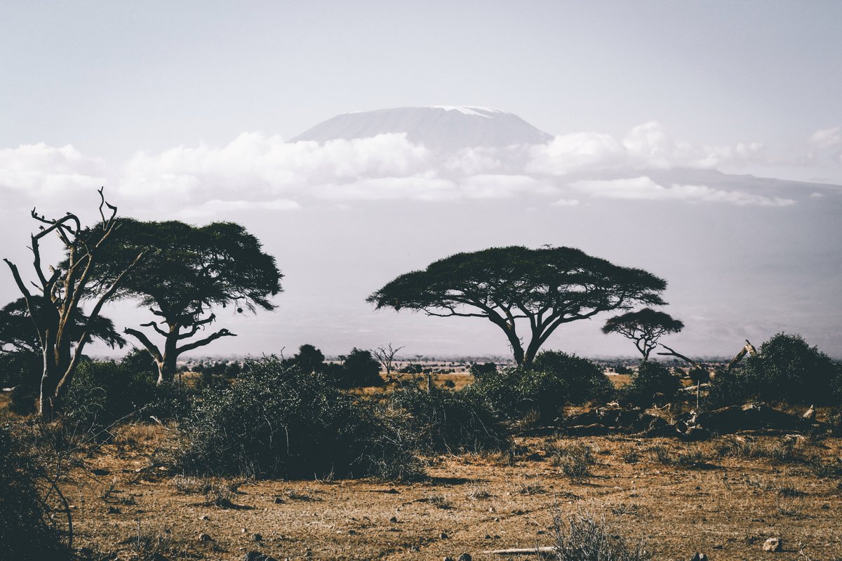 #CONSULTANCY: <a href="/AWF_Official/">AWF</a> are seeking a consultant to develop emergency preparedness and response policy guidelines for standardized approach in detection, prevention, response and recovery processes of disasters across Africa’s Protected Area estate: shorturl.at/hrLW0