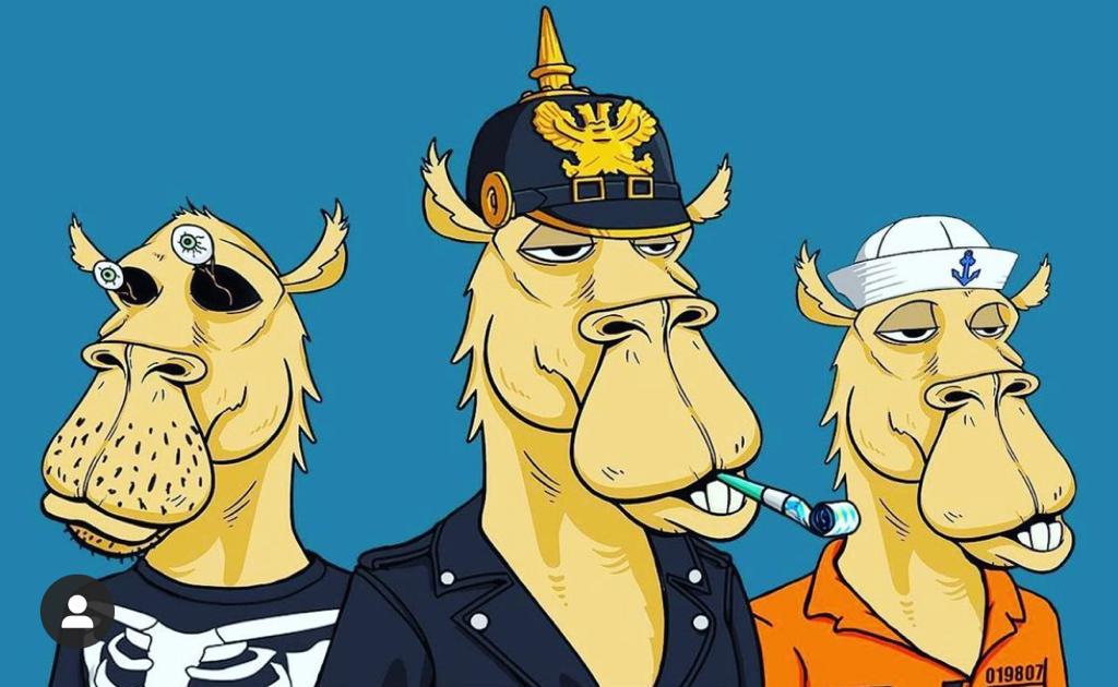 Cryptodude21 tweet media