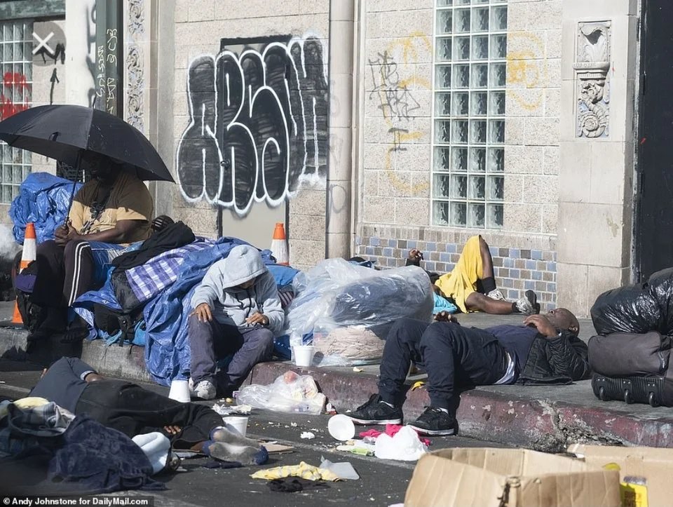 Paloma Marmota Patipelá tweet media