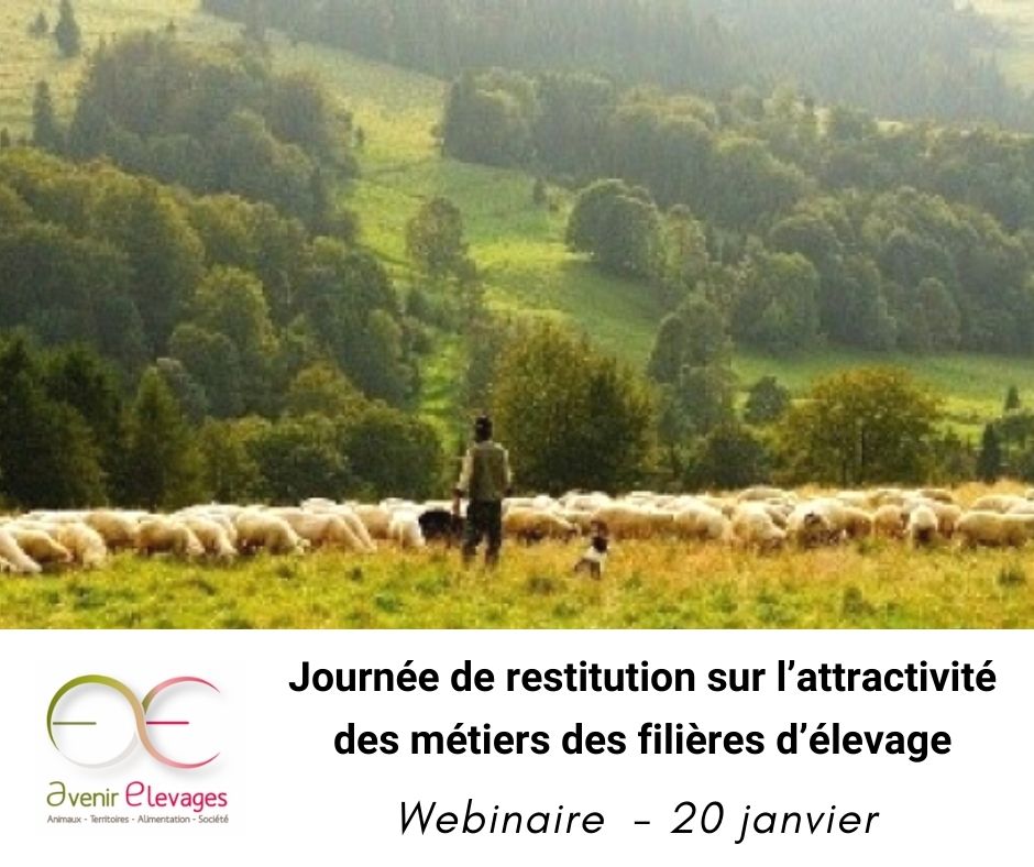 Élevage &amp; Attractivité | Comment améliorer l’#attractivité des métiers des filières d’#élevage 🐂🐑🐐 🐖🐔 ?
État des lieux &amp; prospective à l'horizon 2⃣0⃣3⃣0⃣
💻 𝐄𝐧 𝐰𝐞𝐛𝐢𝐧𝐚𝐢𝐫𝐞 
📅  20 janv
Organisé par <a href="/AvenirGis/">GIS Avenir Elevages</a> 
Plus d'infos sur cette journée : cutt.ly/AU6F8EX