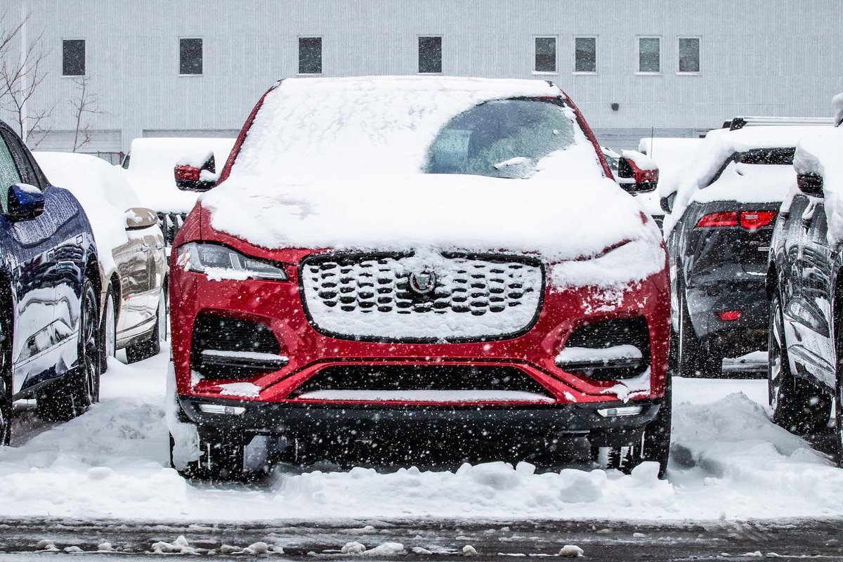 Jaguar Lakewood tweet media