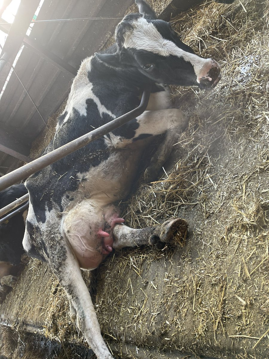 km0330ski's tweet image. ちょっとだけよ〜♥️