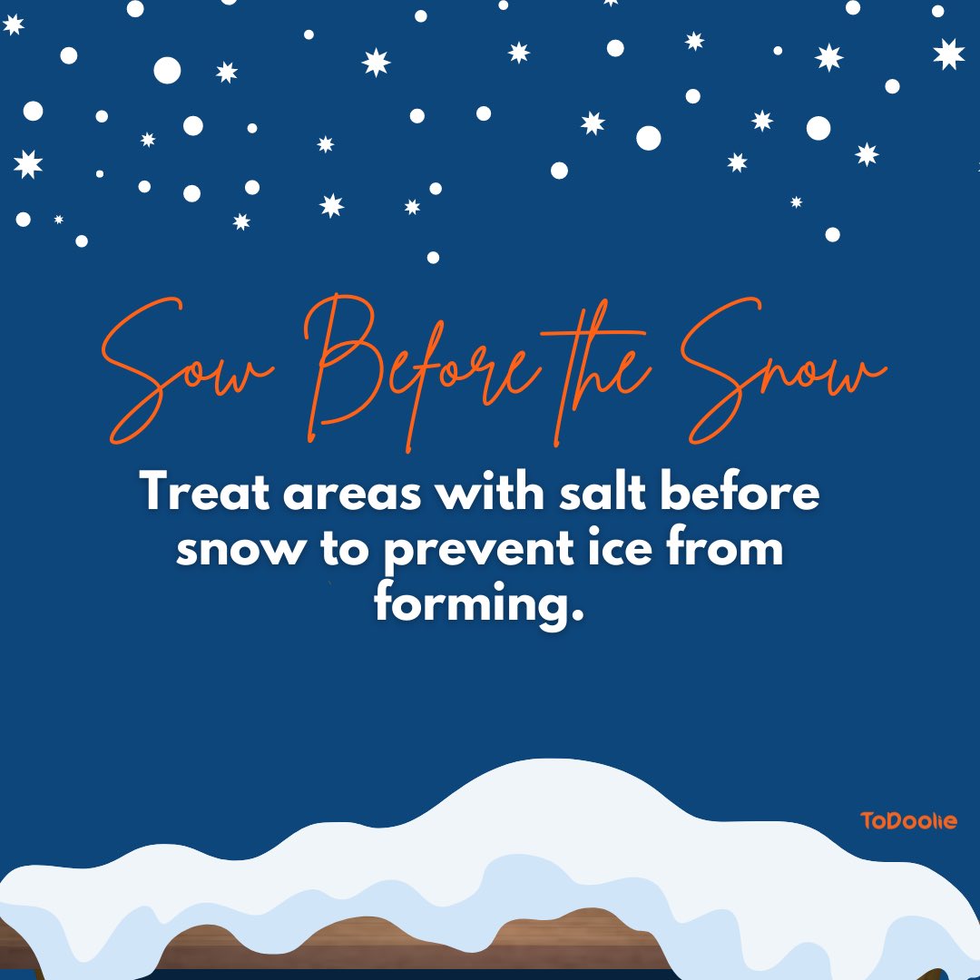 ToDoolie tweet media