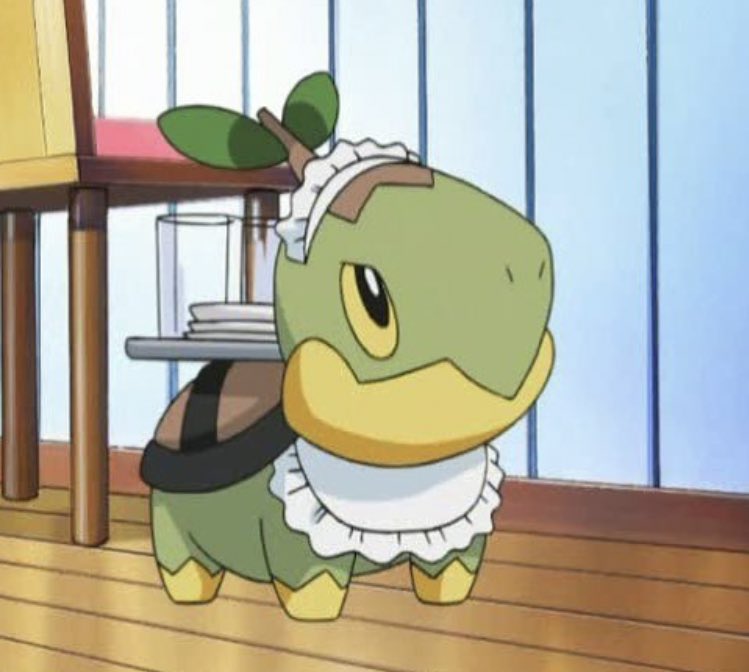 turtwig maid