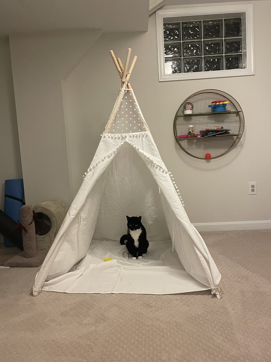 cat_trixie's tweet photo. welcome weary traveler to my shop

>BUY
>SELL https://t.co/qDhavRktzI