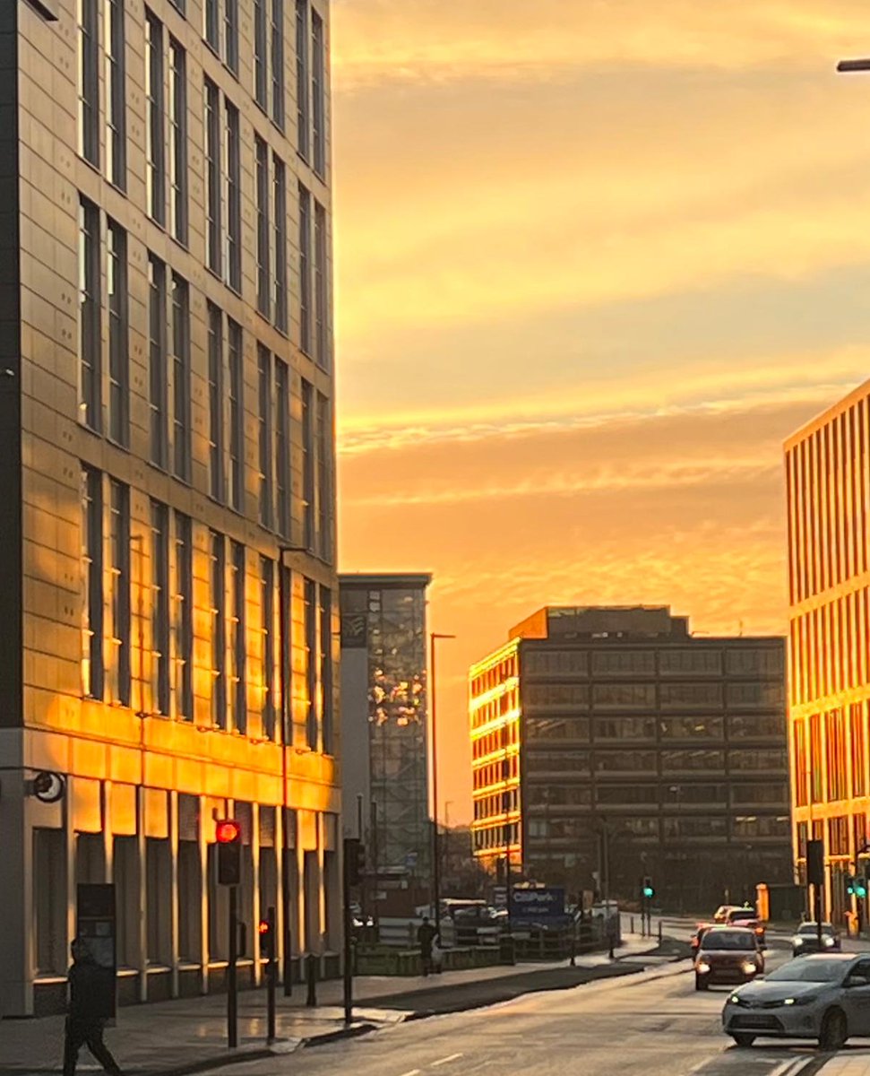 Dena Reynolds tweet media