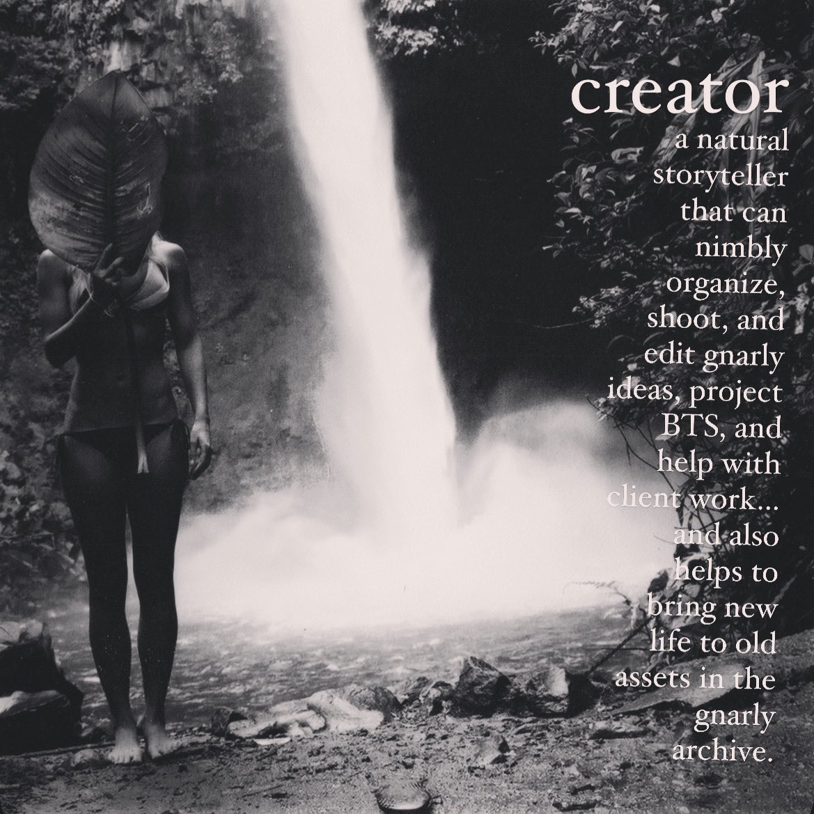 gnarly bay tweet media